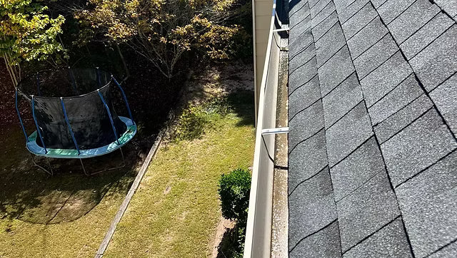Tree Services & Gutter Cleaning